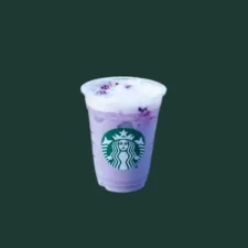 Starbucks Purple Drink