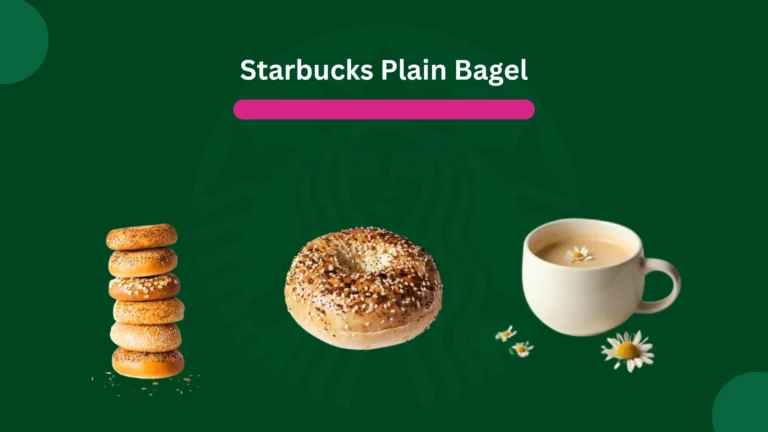 Starbucks Plain Bagel